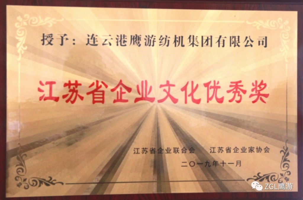 2019年江蘇省企業(yè)聯(lián)合會(huì )授予“江蘇省企業(yè)文化優(yōu)秀獎”